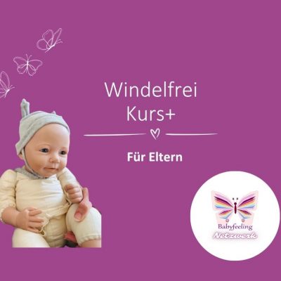 Kursvorschaubild